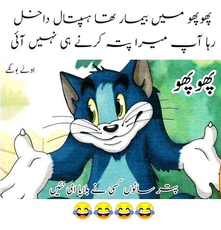 Ap ki phopho kse hei??