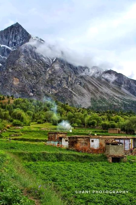 Bilamik rondu pakistan😍