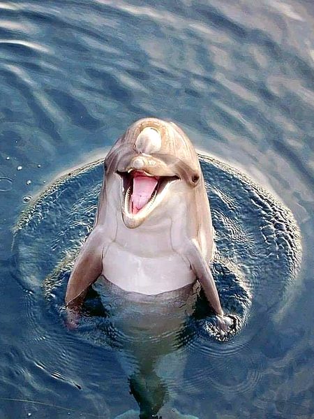 Best click ever🤩🤩