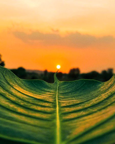 ᴡ ᴀ ʏ ᴛ ᴏ ʜ ᴇ ᴀ ᴠ ᴇ ɴ 🌄
📌️ Rajastan, India