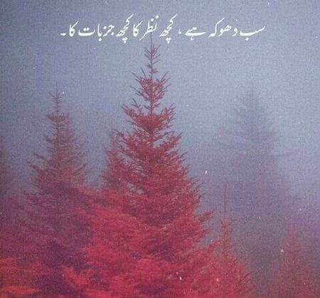SB DHOKA HE HAI OR KUCH B NAHI