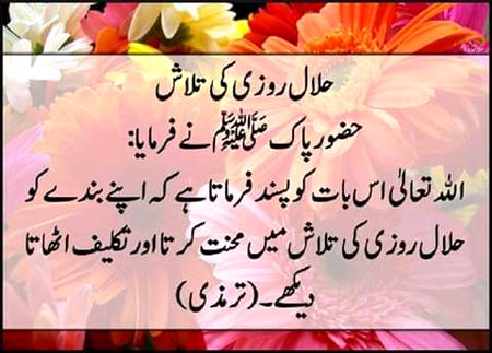 Islamic Quotes image
