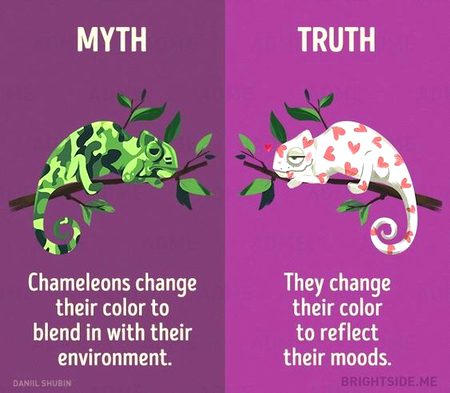 Did you Know