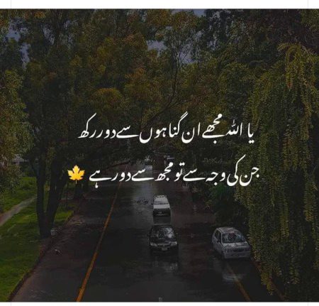 Ameen sum ameen