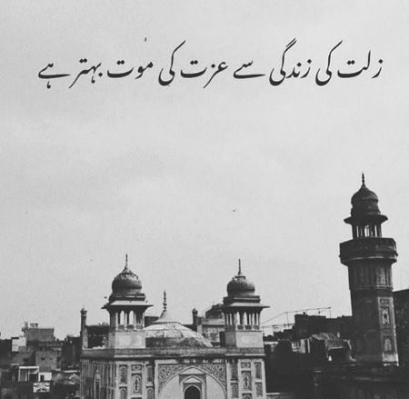 عزت کی موت بہتر ہے 💯