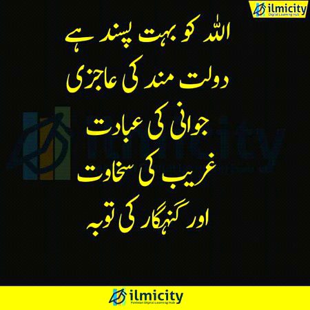 Islamic Quotes image