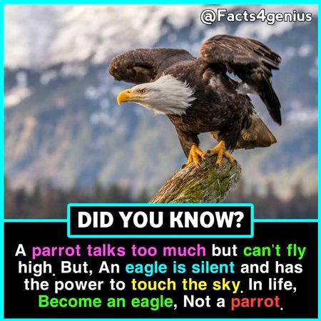 Did you Know