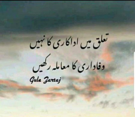 Adakari nai chai wafa honi chai 😎