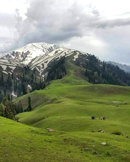 Beautiful Nature image