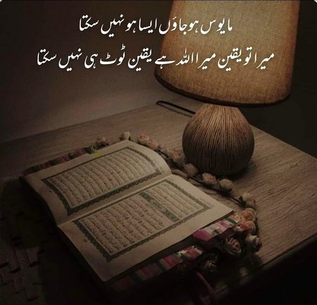 Beshak💞💞💕💕💕