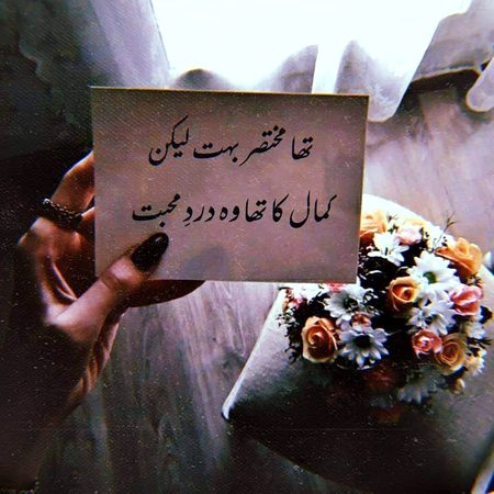 ھمیں تلاش نہ کرنا کبھی زمانوں میں
ھم ایک شب کا فسانہ تھے بس تمام ھوئے