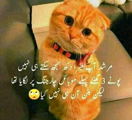 😀😀😜😜😍😍😔😔