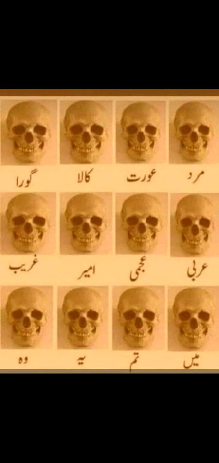 Kon bara or kon bora.. sab ki taqat ik jasee..