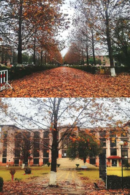 Apna turuuuu lub 😍👀