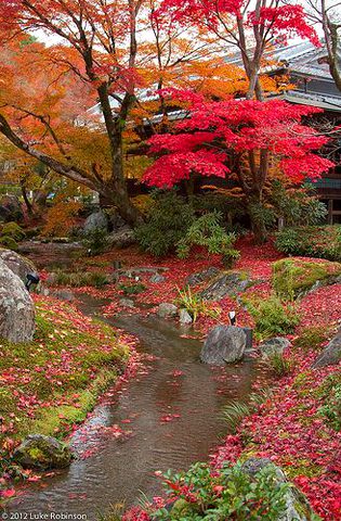 Amazing Place