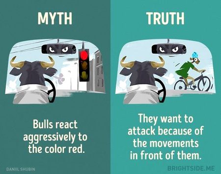 Did you Know