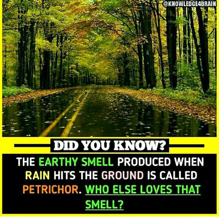 Did you Know