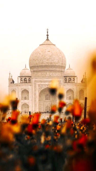 Beautiful Structures image