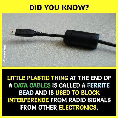 Did you Know