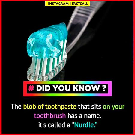 Did you Know