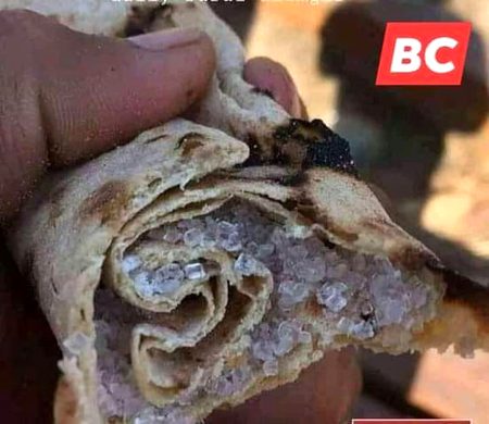 شرم نہیں کرنا ۔۔۔ جواب ضرور دینا ہے ۔۔
یہ والا کریم رول کس کس نےکھایا ہے ۔۔