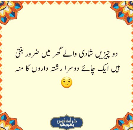 kch logon ko Shadi ka Maza hi nai atta in k bagheer 🙄🙄🙄