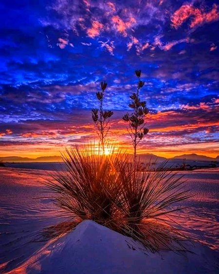 ﮐﺒﮭﯽ ﺍﯾﺴﺎ ﺑﮭﯽ ﮐﺮﻧﺎ
ﺷﺎﻡ ﮐﯽ ﺩﮨﻠﯿﺰ پر
ﭘﻞ ﺑﮭﺮ ﮐﻮ ﺭﮐﻨﺎ
ﮈﻭﺑﺘﮯ ﺳﻮﺭﺝ ﮐﺎ ﻣﻨﻈﺮ ﺩﯾﮑﮭﻨﺎ
ﺍﻭﺭ ﺳﻮﭼﻨﺎ
ﮐﮧ ﺷﺎﻡ ﮐﯽ ﮔﮩﺮﯼ ﺍﺩﺍﺳﯽ ﮐﺎ ﺳﺒﺐ ﮐﯿﺎ ھے؟
ﻣﺴﺎﻓﺮ ﺟﺐ ﺗﮭﮑﺎ ﮨﺎﺭﺍ
ﺳﺮ ﻣﻨﺰﻝ
ﮐﺒﮭﯽ ﺗﻨﮩﺎ ﺍﺗﺮﺗﺎ ھے
ﺗﻮ
ﮐﯿﺎ ﻣﺤﺴﻮﺱ ﮐﺮﺗﺎ ھے؟