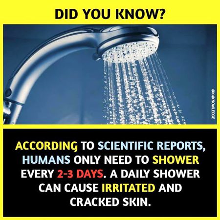 Did You Know