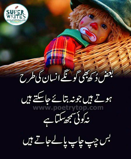 ✨✨bilkul✨✨