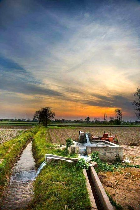Beautiful Nature image