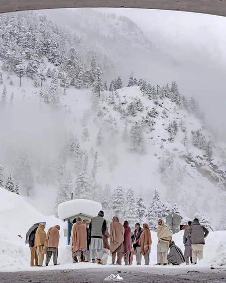 Beautiful Nature image