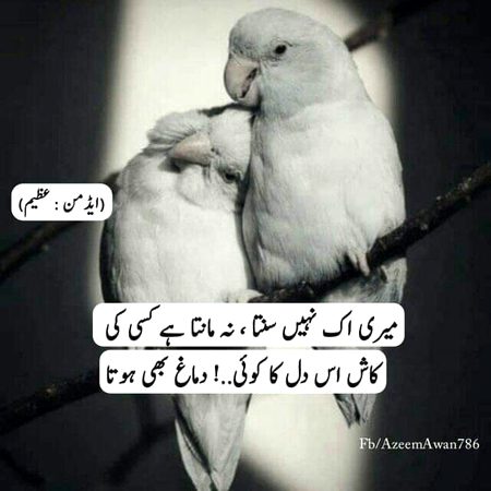 Kaash is Dil ka koi dimagh bhi hota....