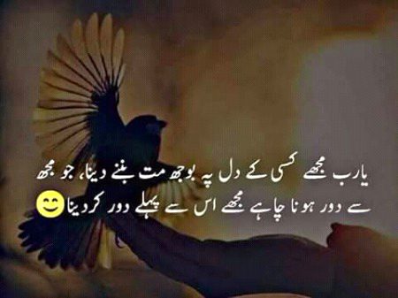 😃😃😑😑😑😑😒😒😒😒