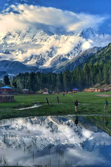 Beautiful Nature image