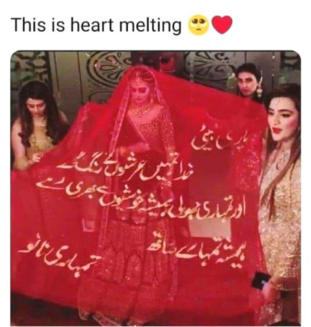Wow 🤩🤩🤩🤩