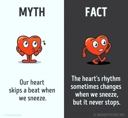Did you Know