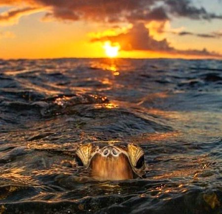 The sunsets....🌞