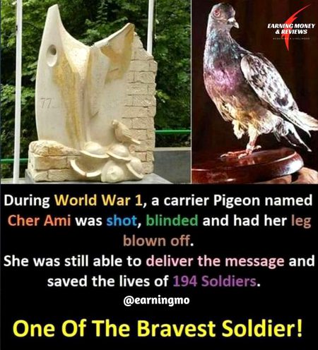 Did you know