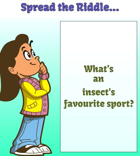 Riddles & Puzzles image