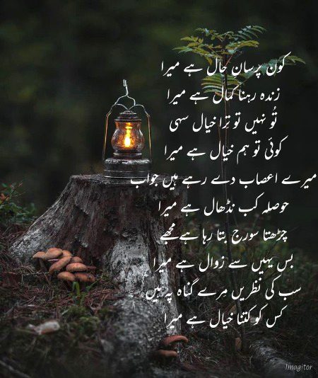 کس کو کتنا خیال ہے میرا🔥