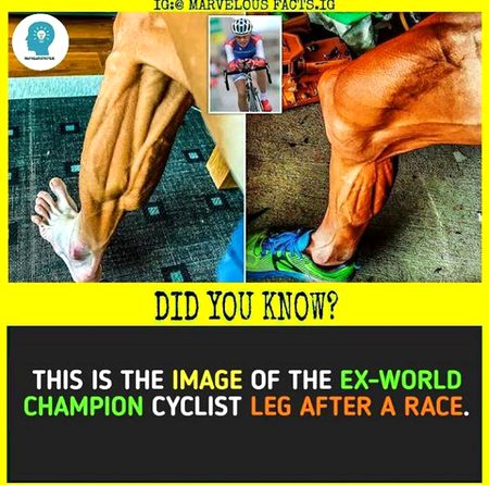 Did you Know