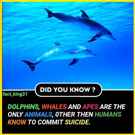 Did You Know