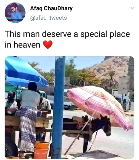 This is called Humunity❤