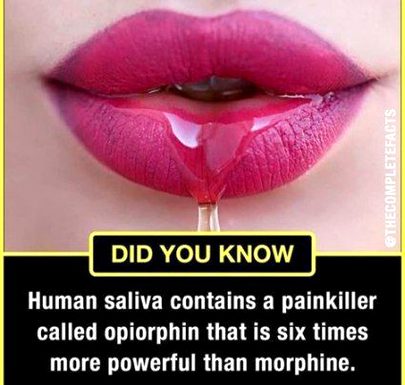 Did you Know