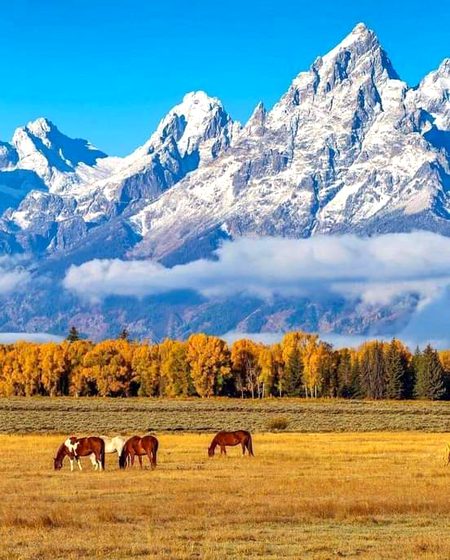 Perfectly peaceful shot in Banff! 😍
 
      📍: Banff National Park