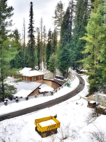 نتھیا گلی، گلیات، ایبٹ آباد۔۔🌲❄

Scenic Nathia in winters 💕