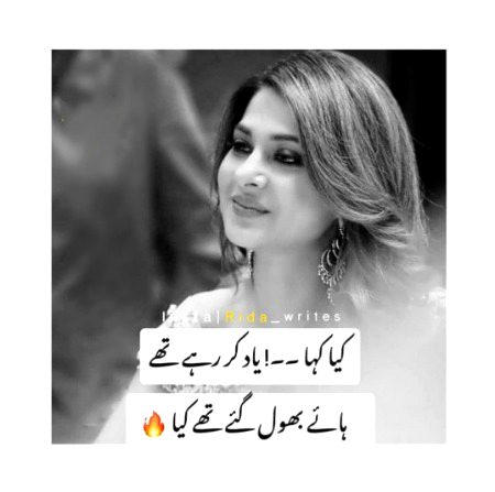 ہائے بھول گئے تھے کیا