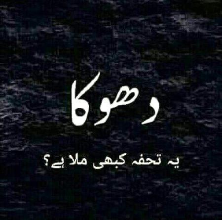 💕💕💕 $$$ 💕💕💕