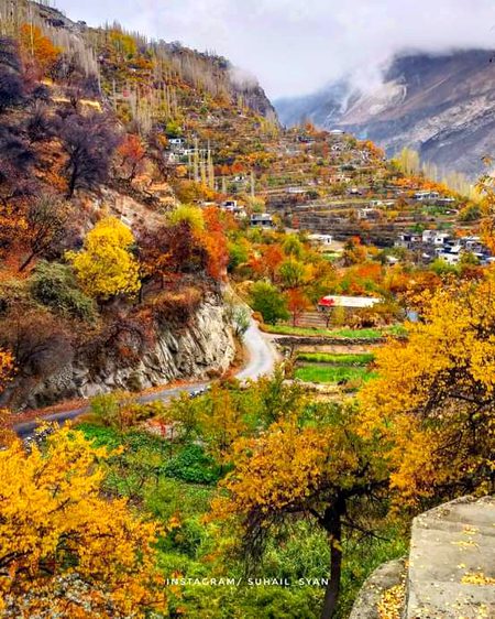 Beautiful Nature image