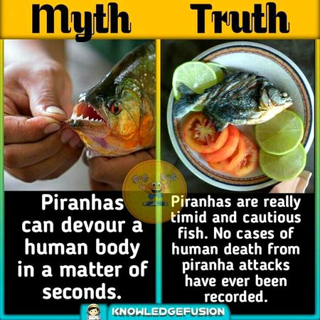 Did you Know